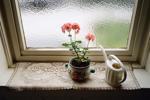 bntpal_1451157869_96