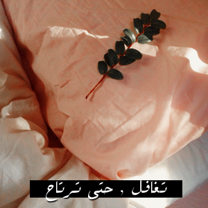 bntpal_1451397626_68