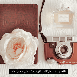 bntpal_1451397627_15