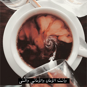 bntpal_1451397627_52