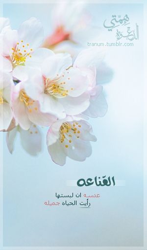 2016 2016 bntpal_1451409313_36