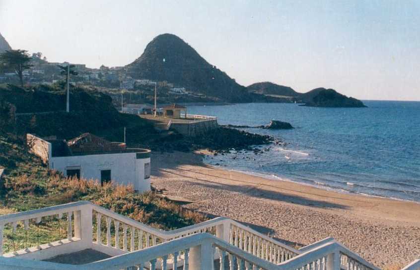 bntpal_1451485601_25
