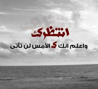 bntpal_1451647085_26