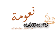 bntpal_1451666470_56