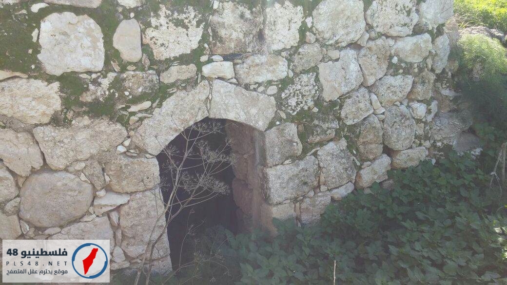 bntpal_1451718856_20