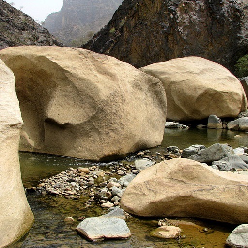 bntpal_1452067789_28