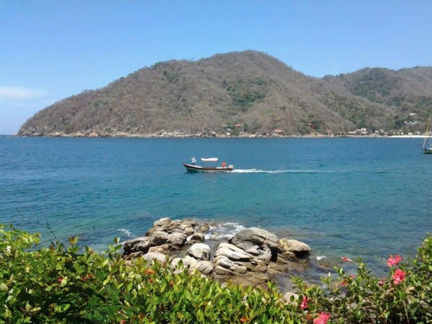   bntpal_1452131649_90