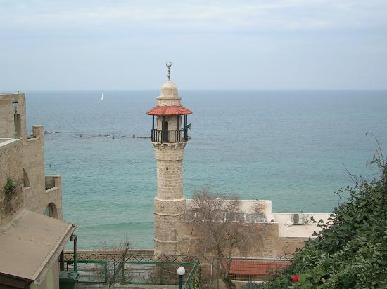 bntpal_1452257840_51