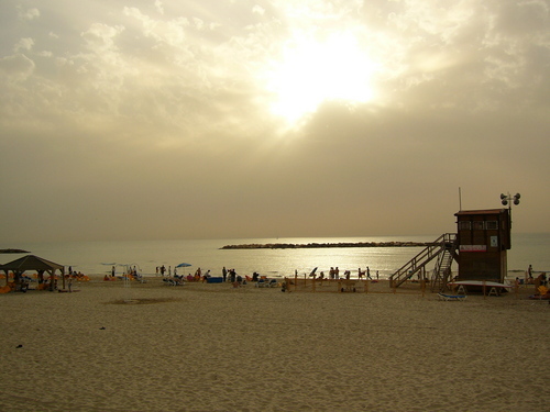 bntpal_1452257840_61