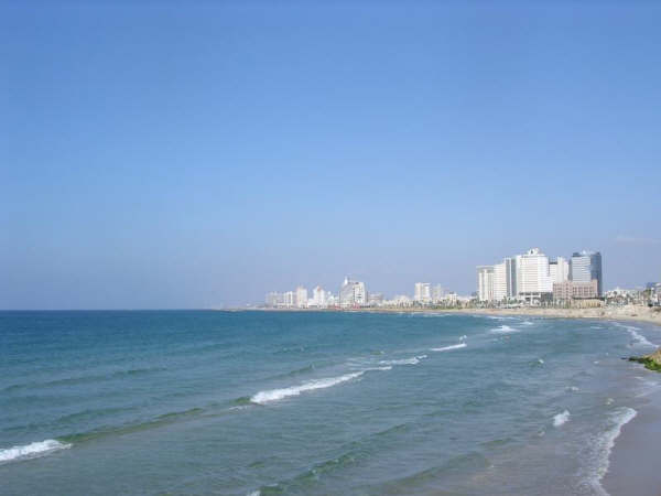 bntpal_1452257842_30