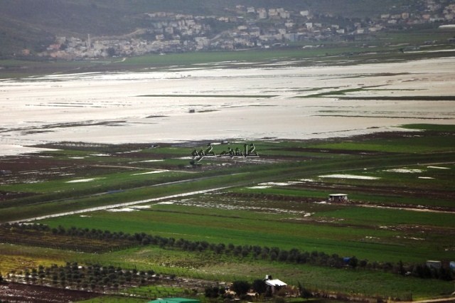 bntpal_1452324910_60
