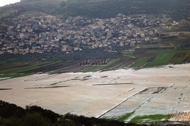 bntpal_1452324911_10