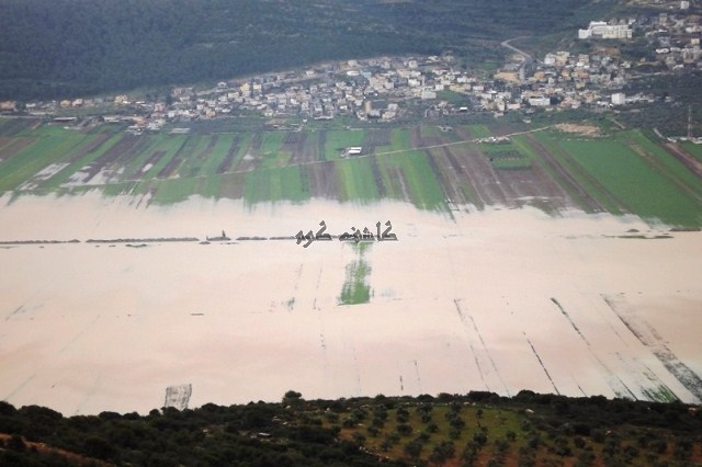 bntpal_1452324912_49