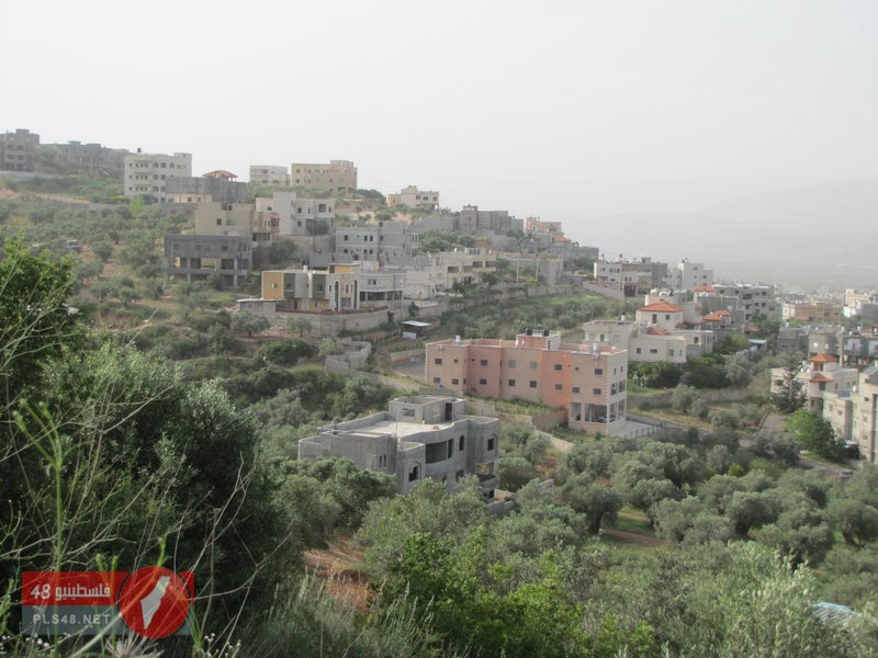bntpal_1452324934_12