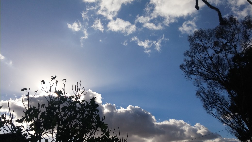bntpal_1452347940_20