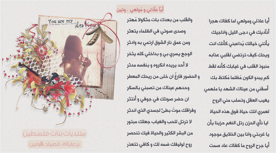  bntpal_1452443487_34