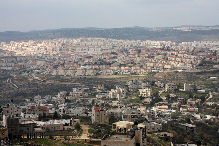 bntpal_1452454205_41