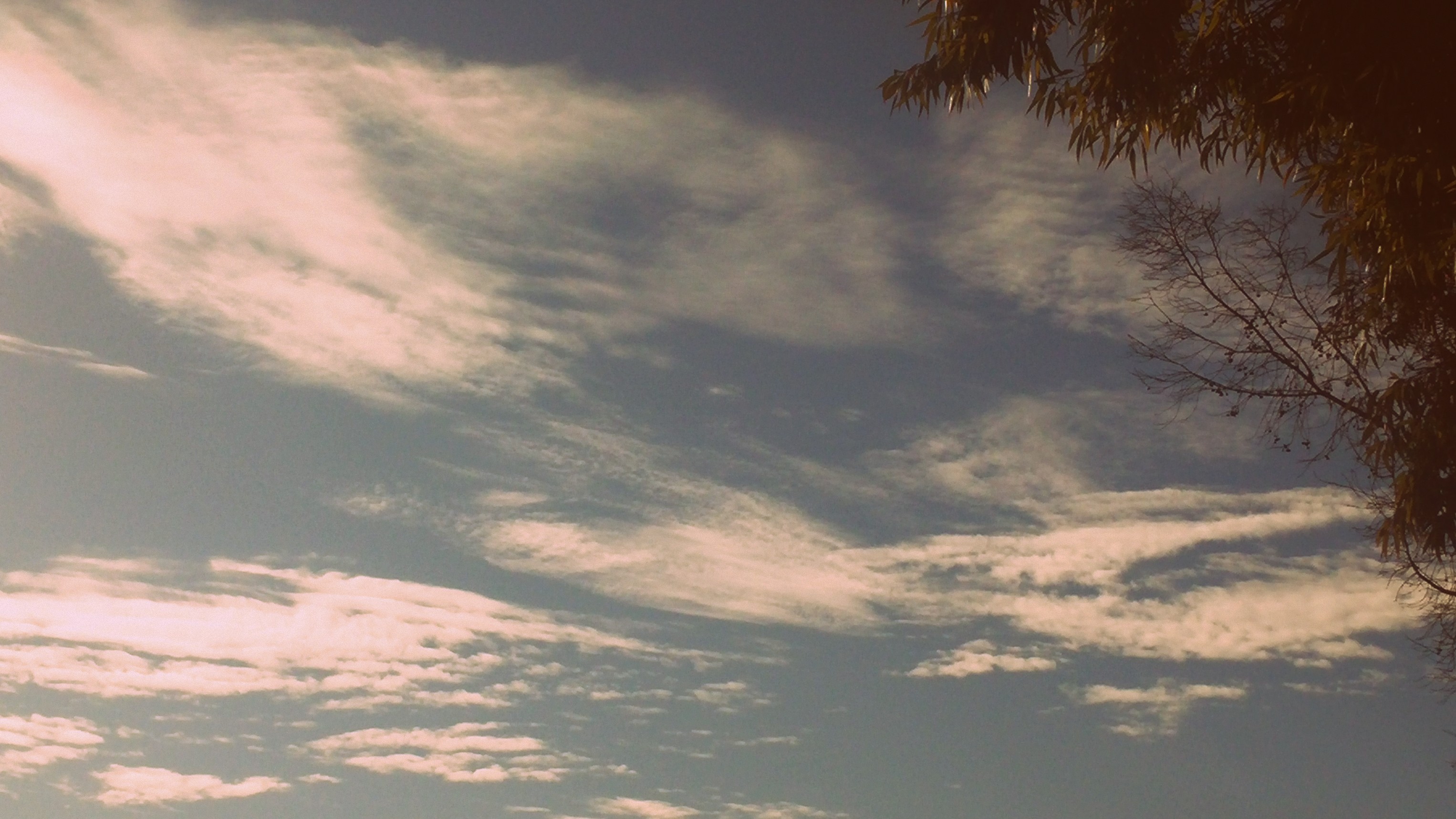 bntpal_1452495915_21
