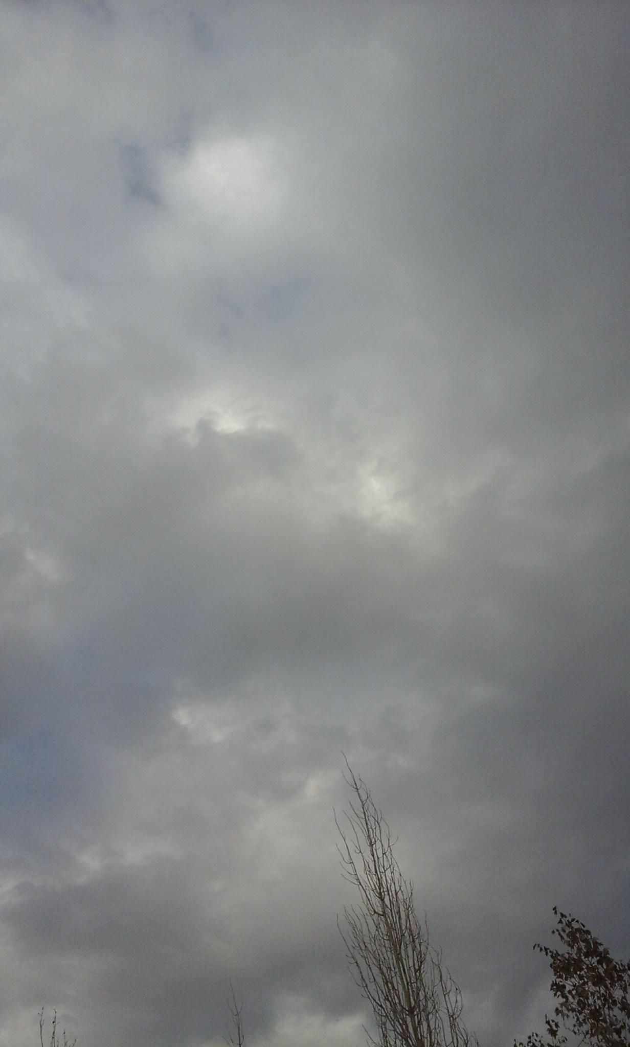 bntpal_1452520330_97