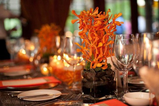 orange  bntpal_1452530498_81