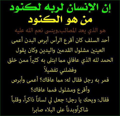  bntpal_1452584233_86
