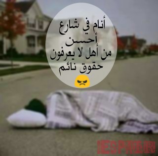 bntpal_1452968945_61