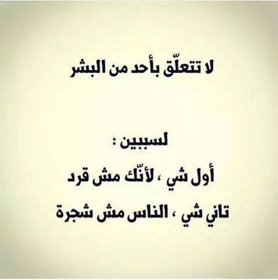 bntpal_1452968951_42