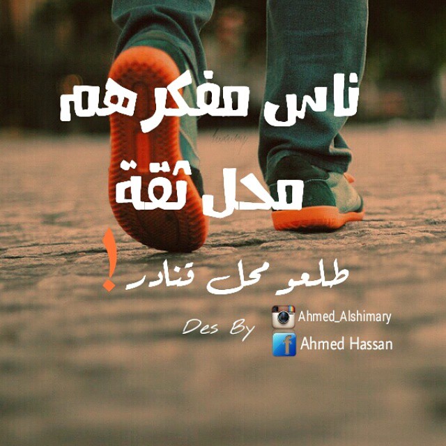 bntpal_1453209338_29