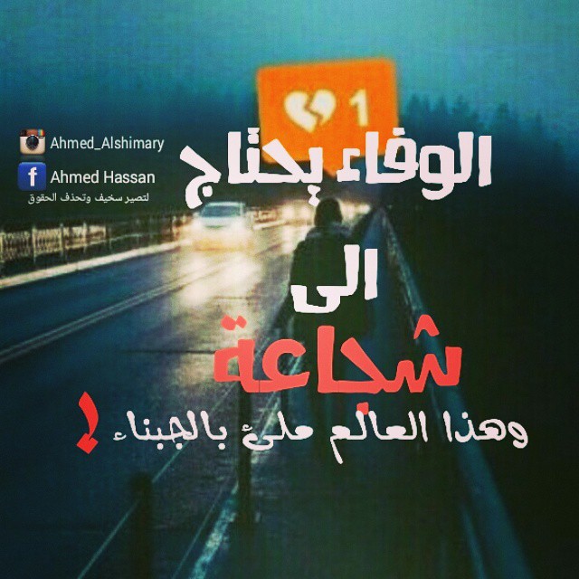 bntpal_1453209339_97