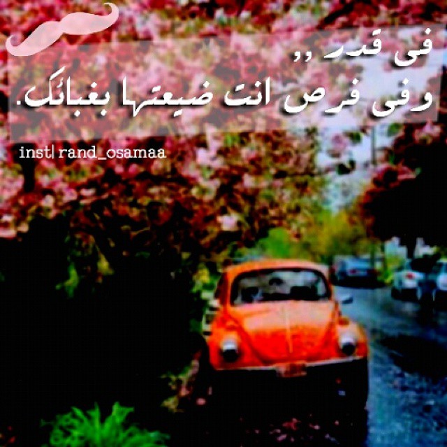 bntpal_1453209343_19