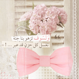 bntpal_1453456421_84