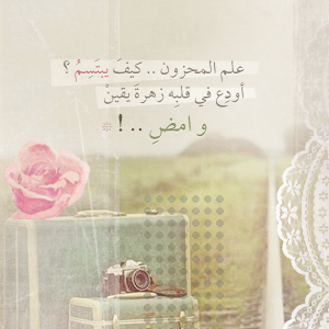 bntpal_1453456422_33