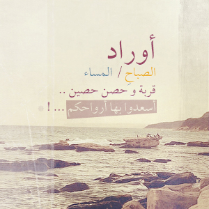 bntpal_1453456422_97