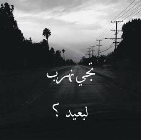 ٗ ٓ. bntpal_1453619935_25