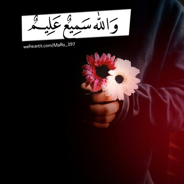 ٗ ٓ. bntpal_1453619942_54