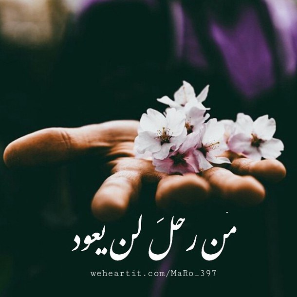 ٗ ٓ. bntpal_1453619944_11
