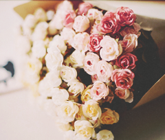 " bntpal_1453639636_37