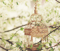 " bntpal_1453639639_59