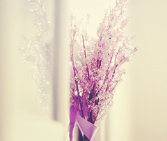 " bntpal_1453639648_10