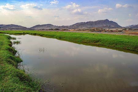  bntpal_1453673167_13