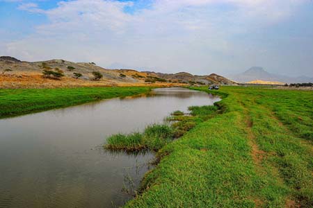  bntpal_1453673167_47