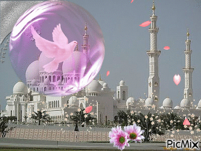 bntpal_1453719971_37
