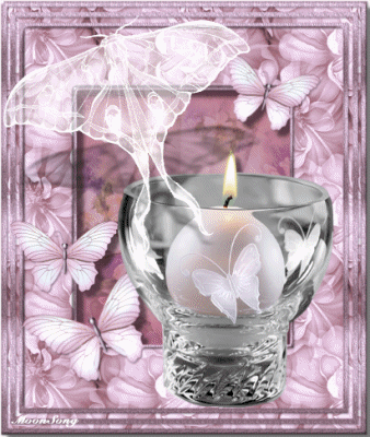 bntpal_1453769937_36