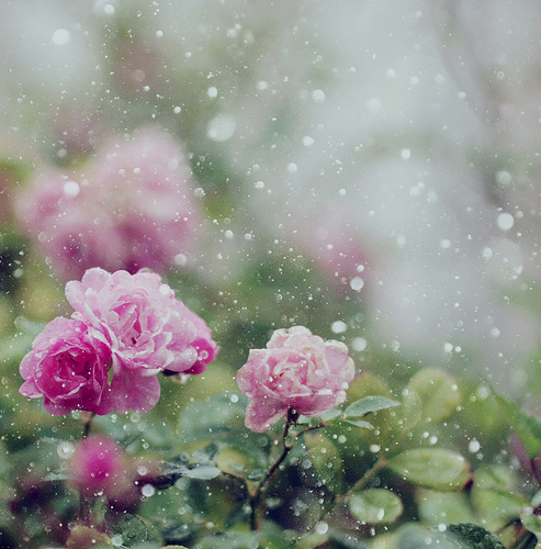   '❤ bntpal_1453792055_58
