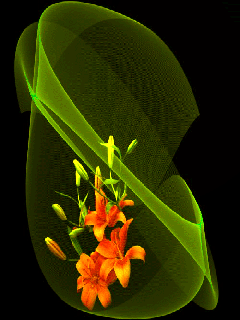 bntpal_1453795126_13