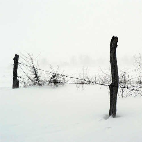 ... bntpal_1453827512_23