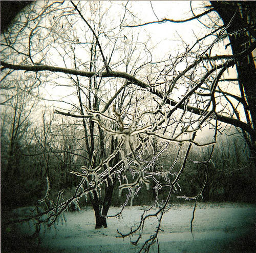 ... bntpal_1453827512_25