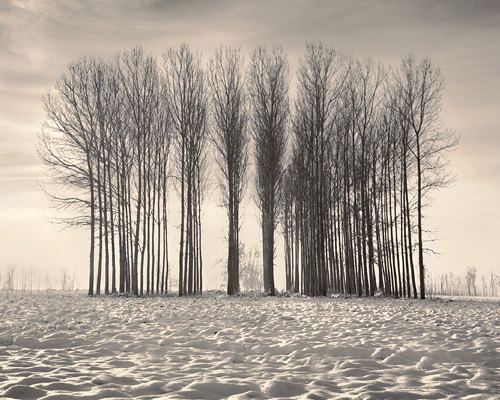 ... bntpal_1453827512_76