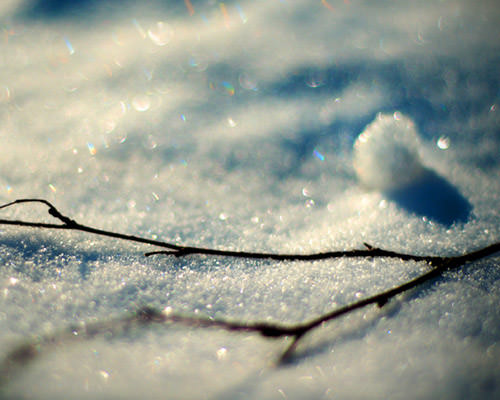 ... bntpal_1453827513_19
