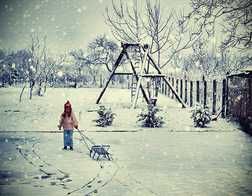 ... bntpal_1453827513_26